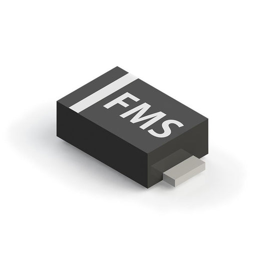 FM2100-MS-H