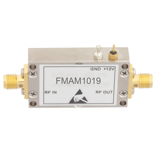 FMAM1019