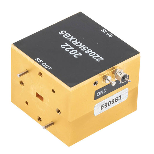 FMFX2022