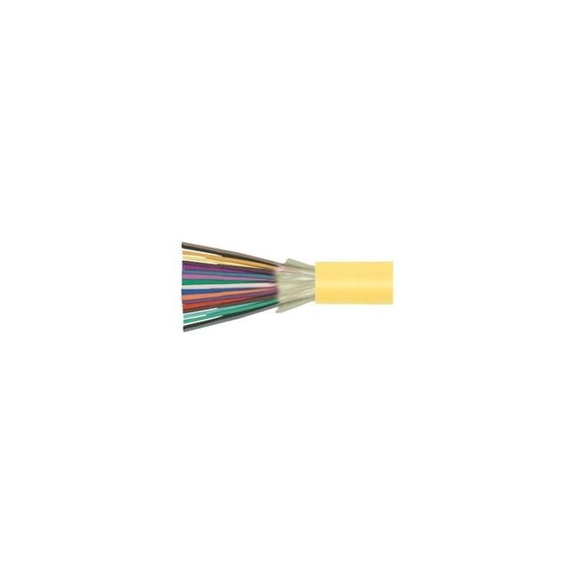 FOBSNGD24-M