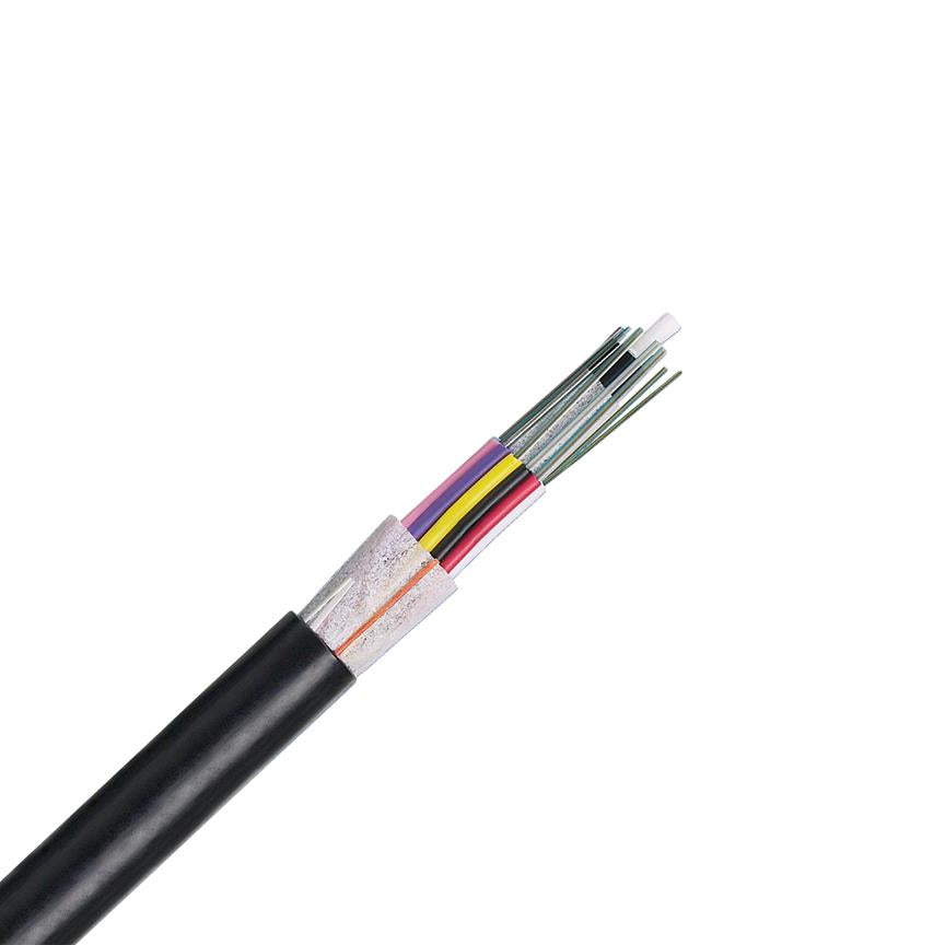 FPTN91A