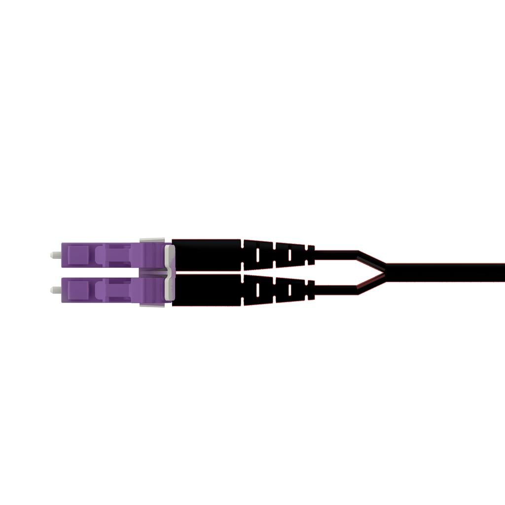 FS2EPLGLGNGM002
