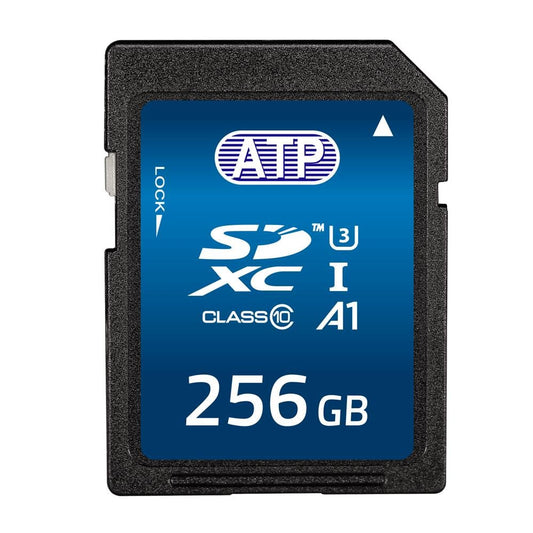 FT256GSD4APEBFI