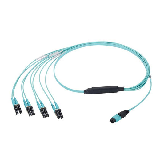 FZ8RP5NLSQNM002