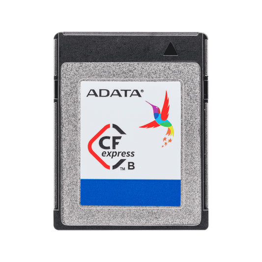 ICFP301-256GP