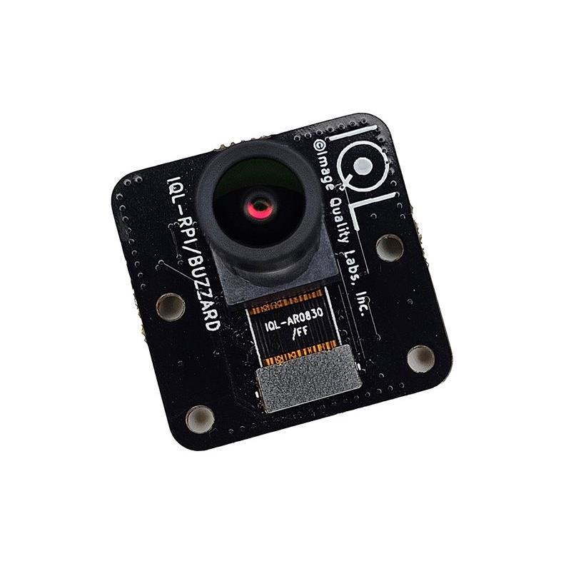 IQL-AR0830/FF/Buzzard