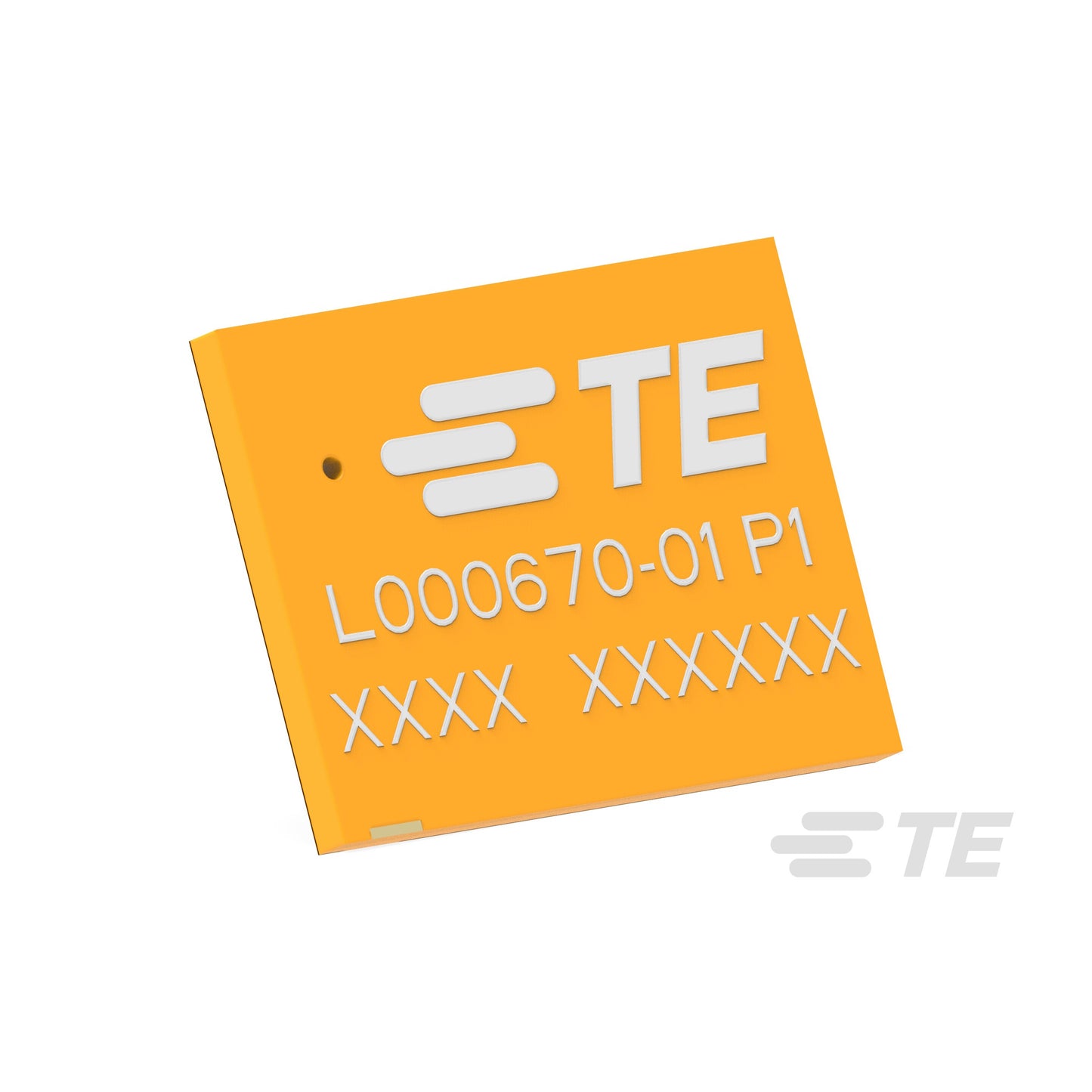 L000670-01