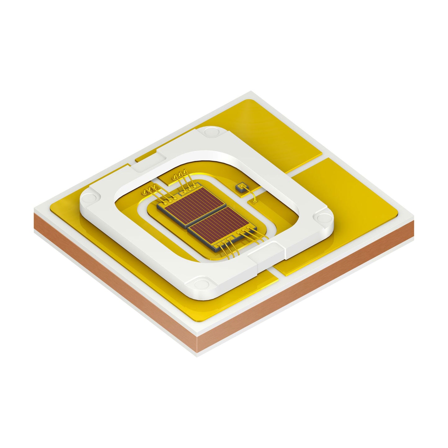 LE A P1MS-RQRT-2-0-D00