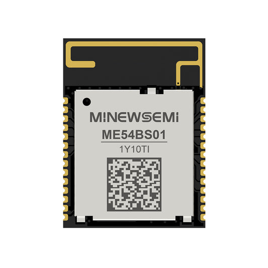 ME54BS01-1Y10TI
