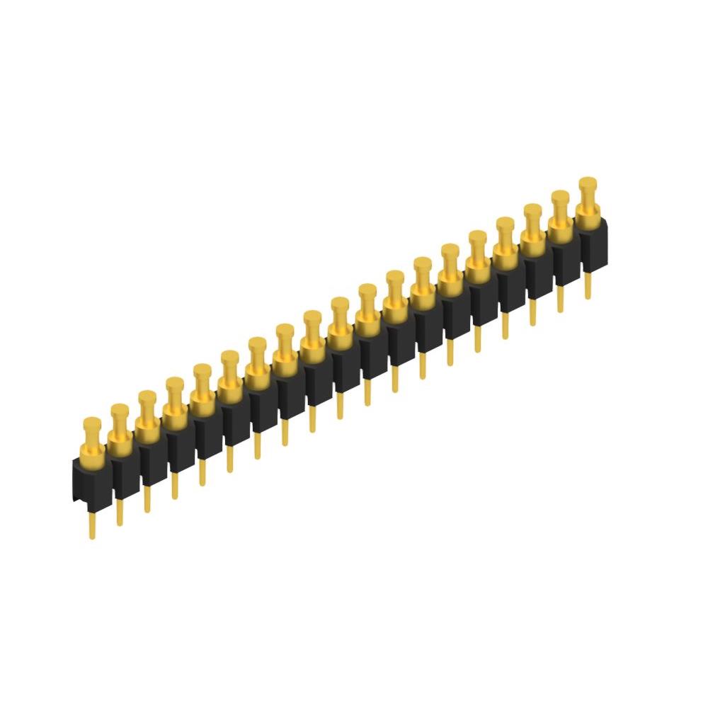 MK 03 19 G