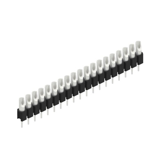 MK 04 19 Z