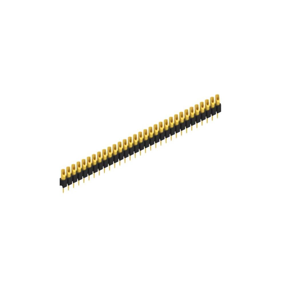 MK 04 31 G