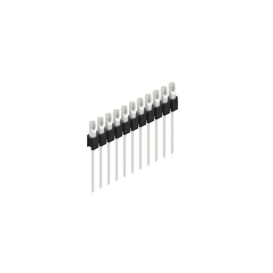 MK 10 11 Z