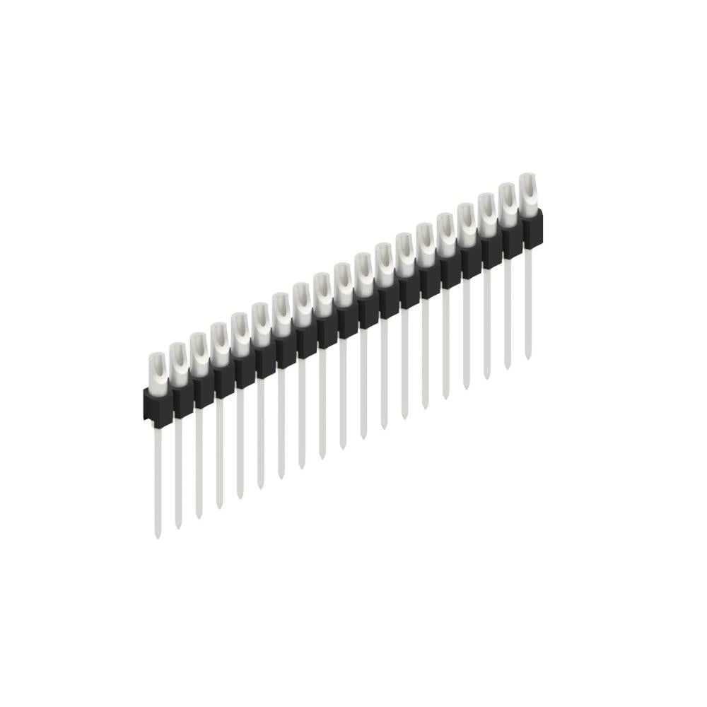 MK 10 19 Z
