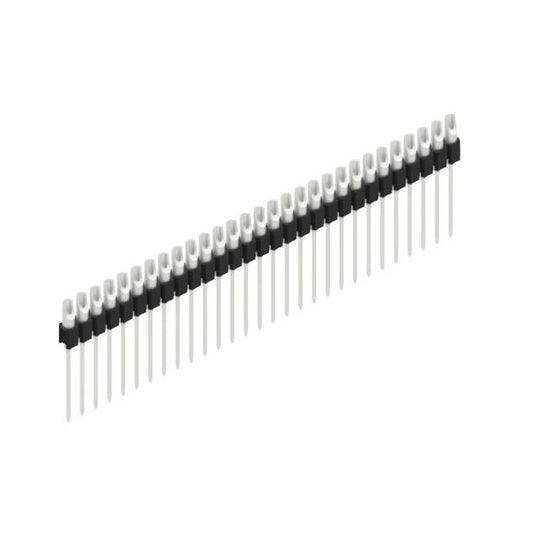 MK 10 29 Z