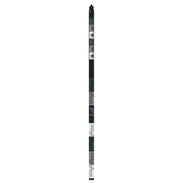 P24D43M