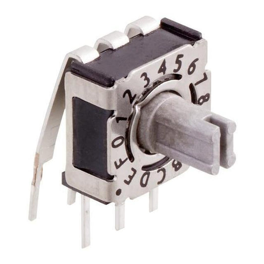 P36THR 303L254