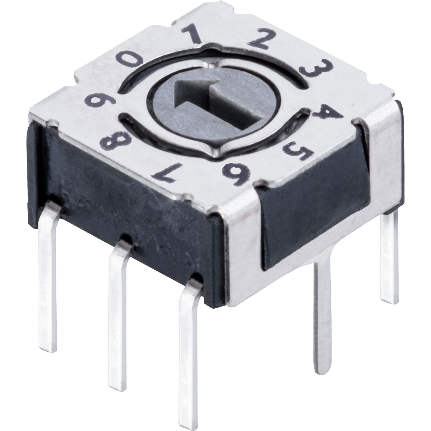 P36THR 803