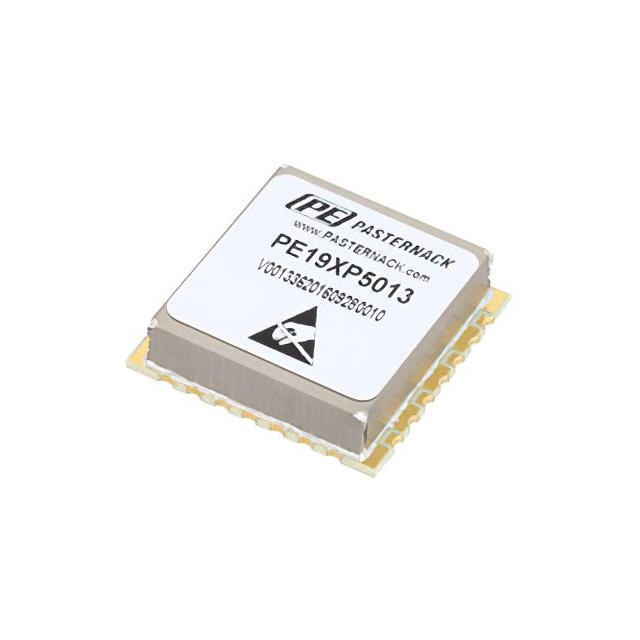 PE19XP5013