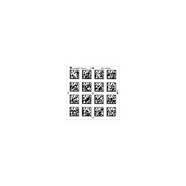 PGV85-CT4