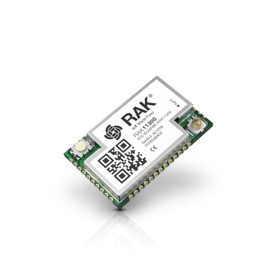 RAK11300-8-WB-I