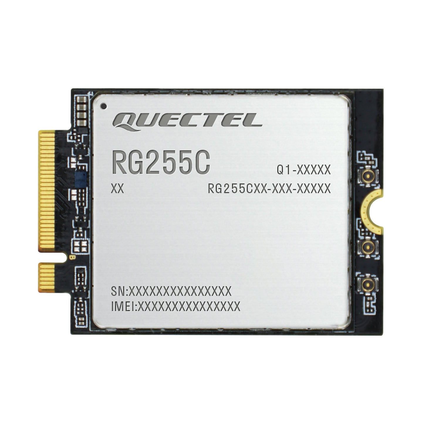RG255CGL00AB-4M2-M20AA
