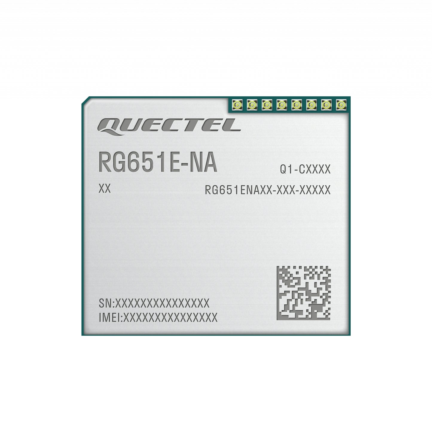 RG651ENA00AA-2G8-SGASA
