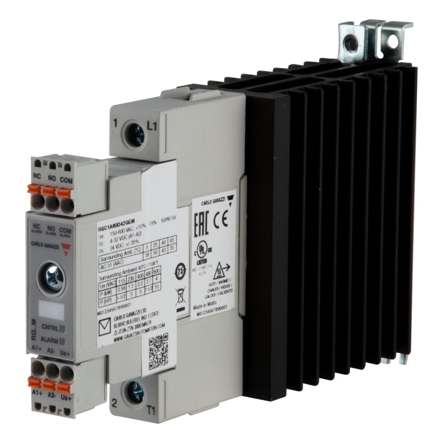 RGC1A60D42GEM