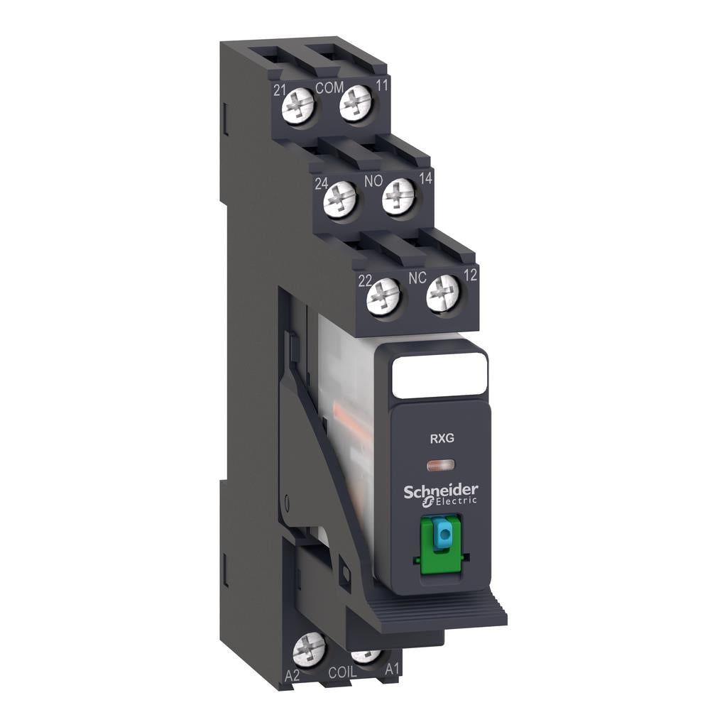 RXG21BDPV
