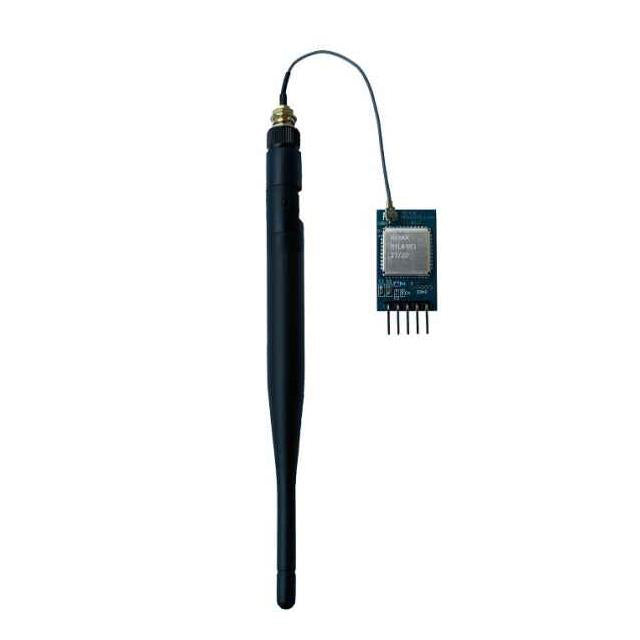 RYLR993_Lite