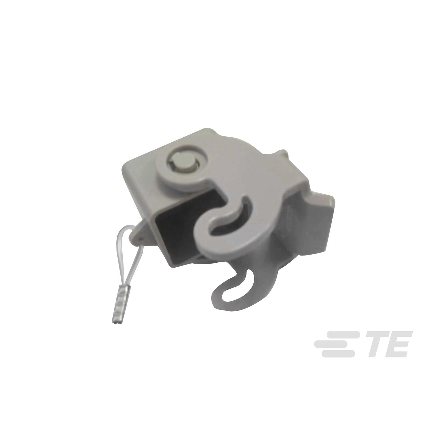 T1010031100-000