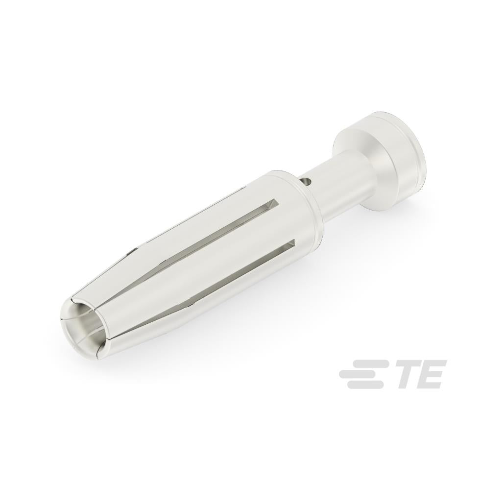 T2030032010-000