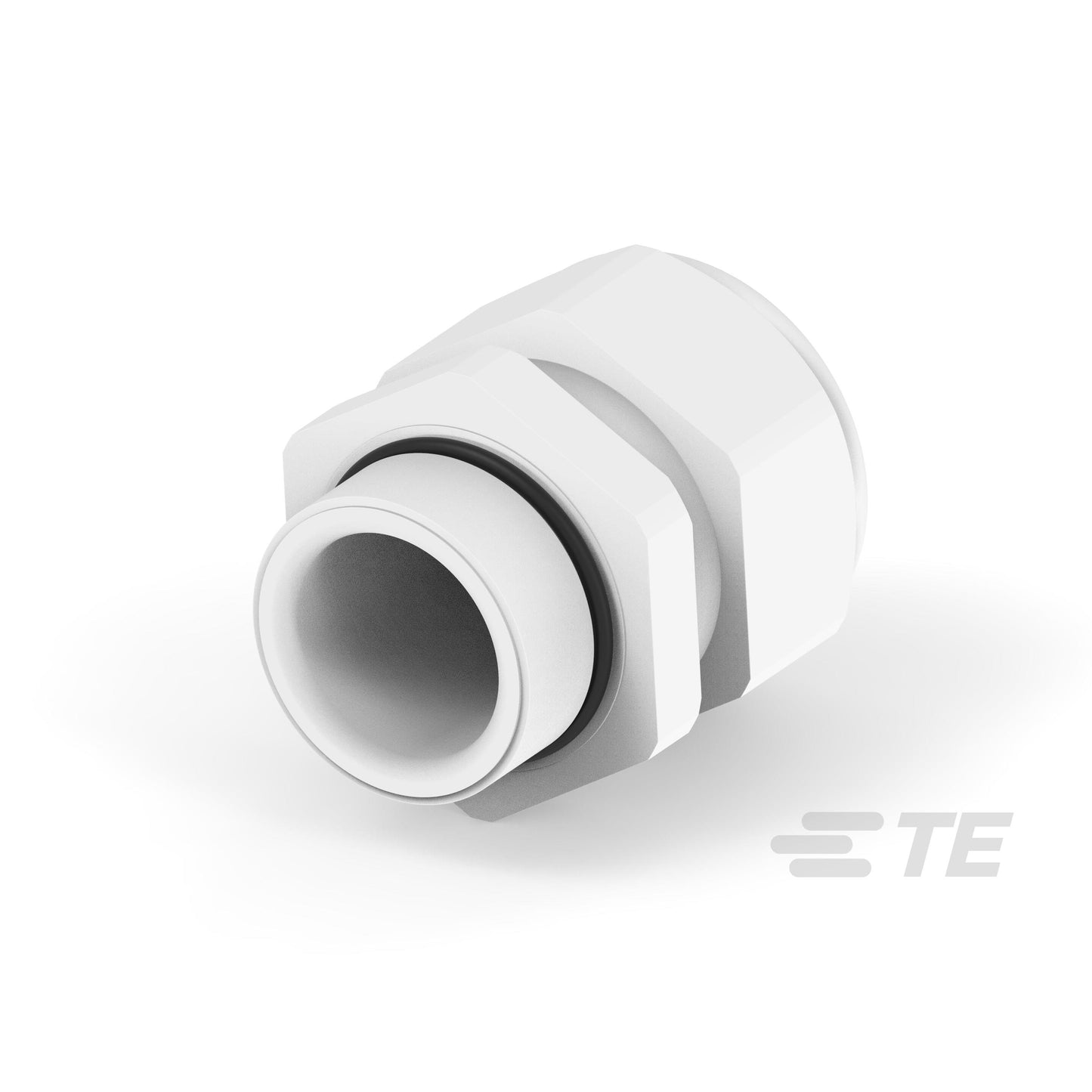 T3229250402-000