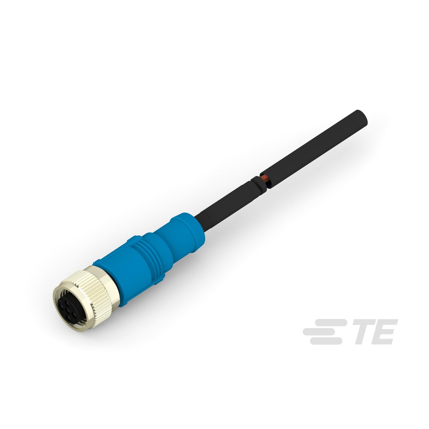 T4151310002-003