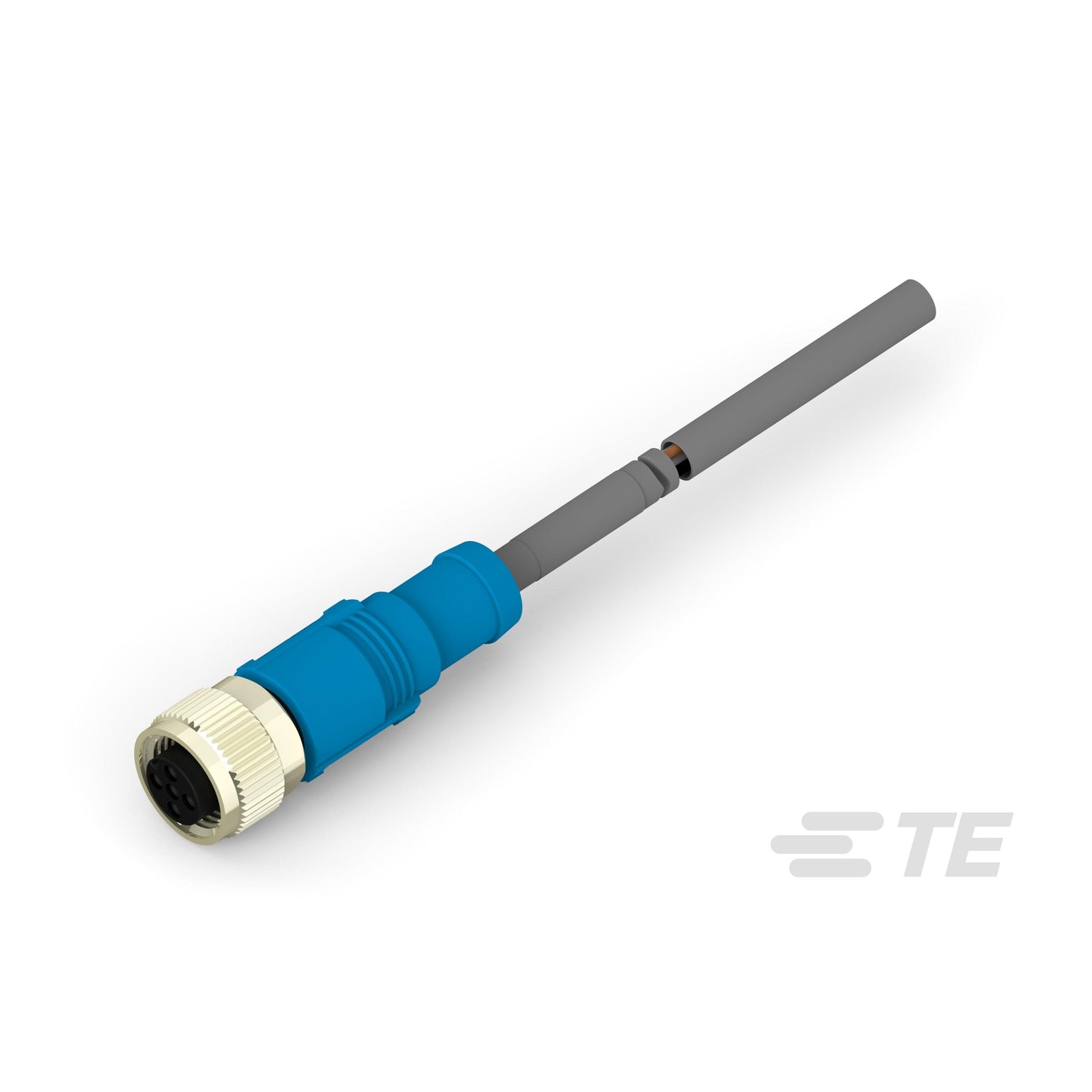 T4151310002-006
