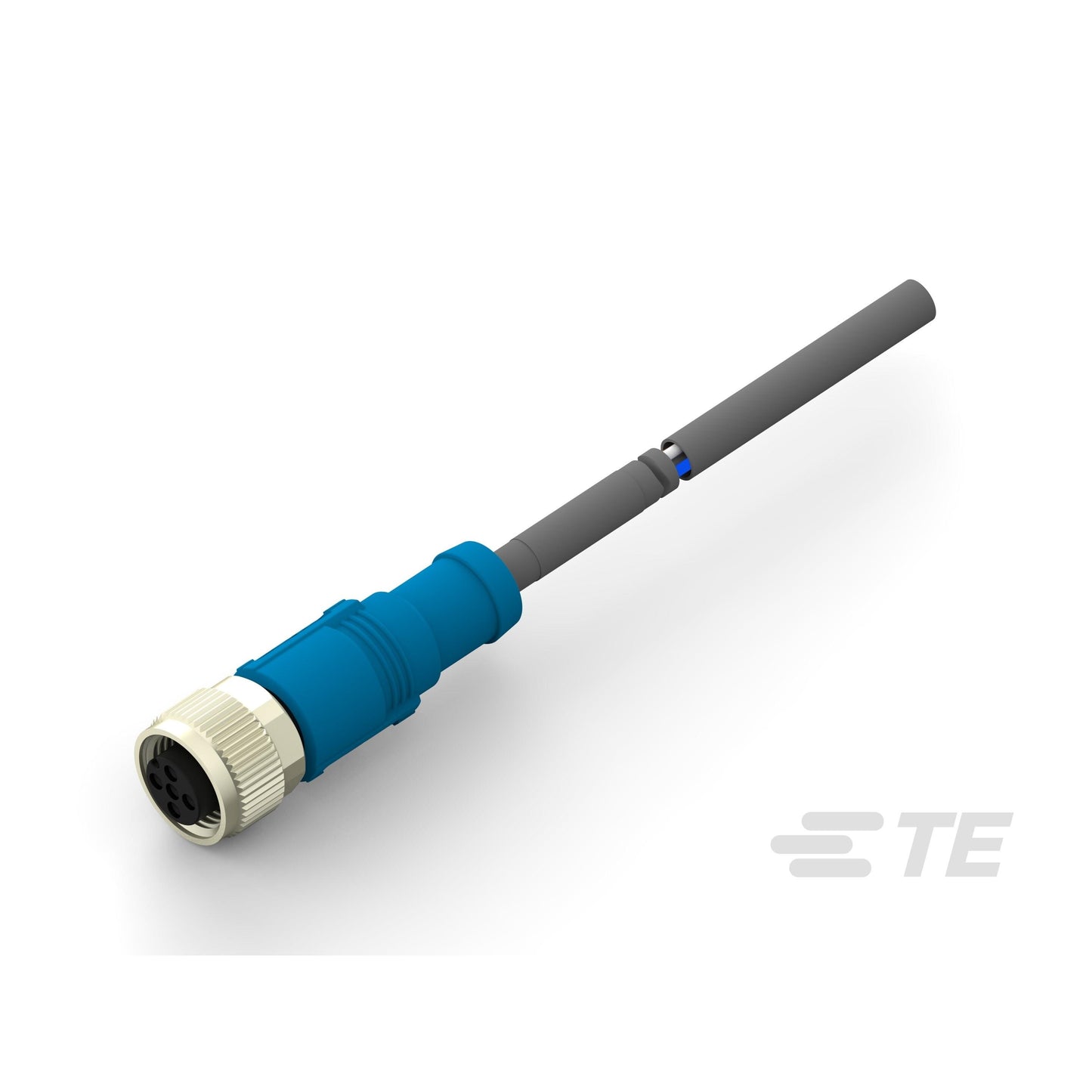 T4151320005-005
