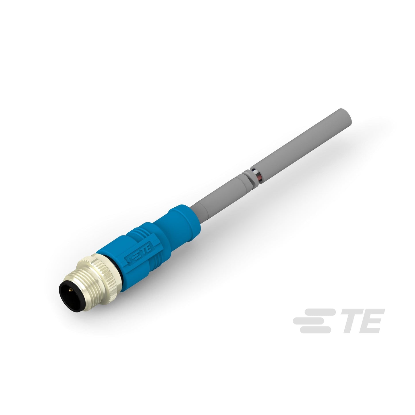 T4161120002-004