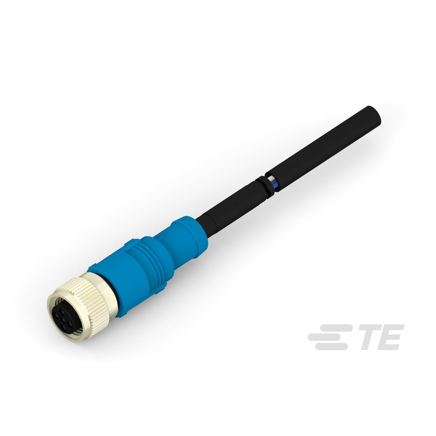 T4161310003-006