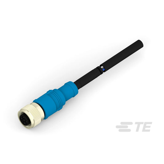 T4161310005-003