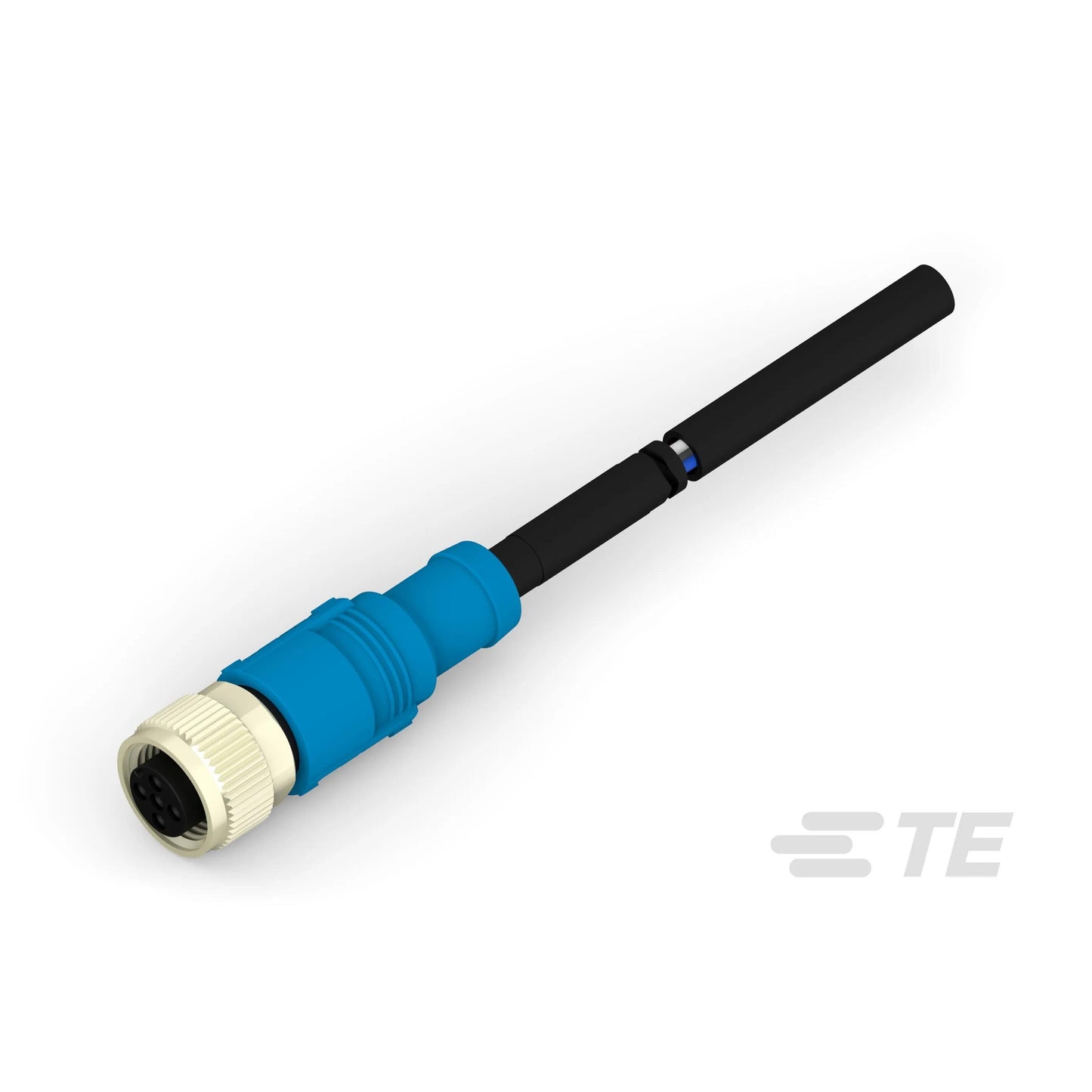 T4161310005-001