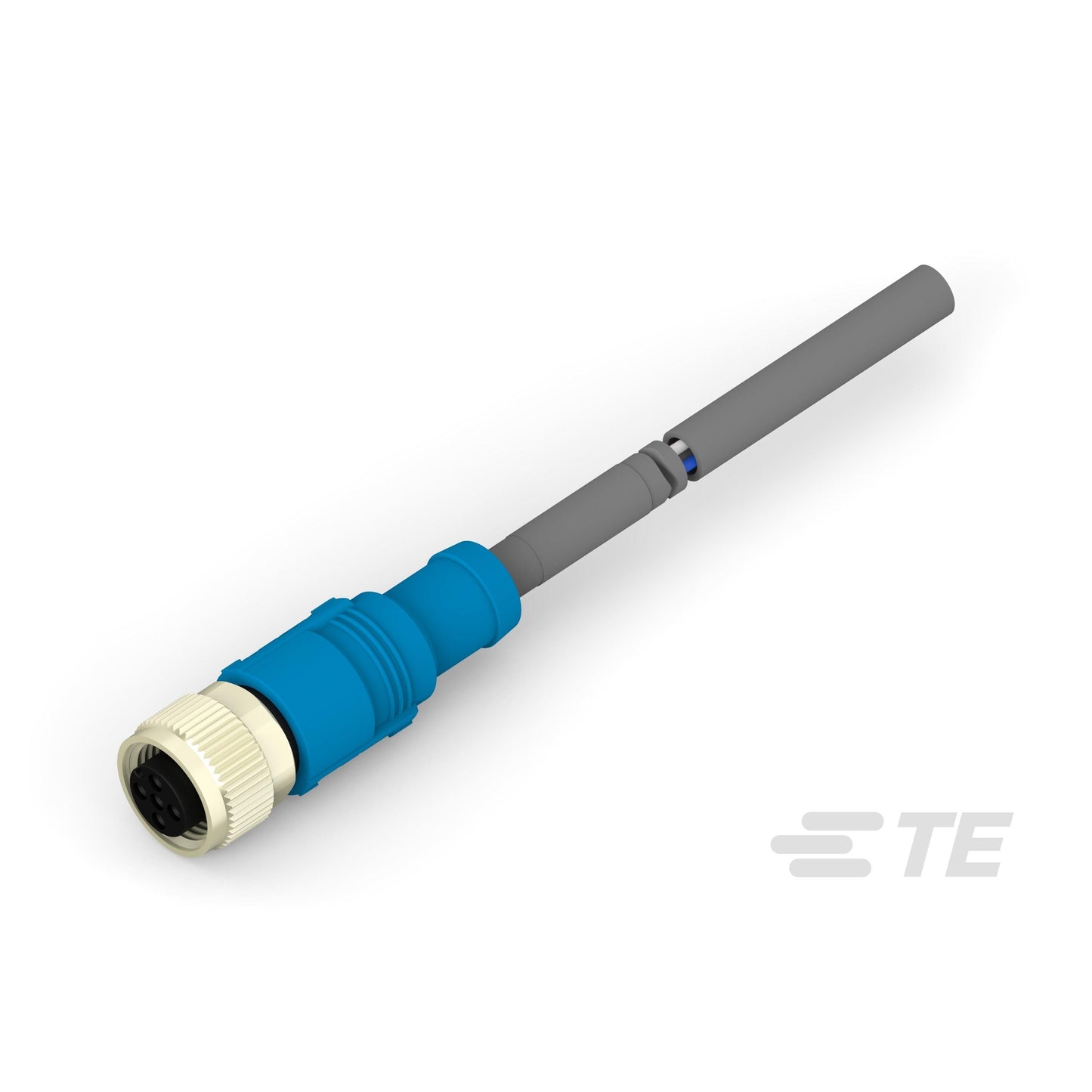 T4161320002-002