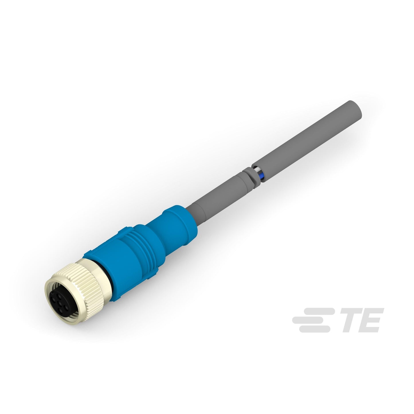 T4161320005-001