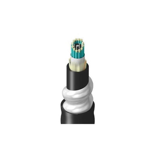 TT-3BB-012-LINN