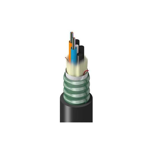TT-1LG-024-HSNN