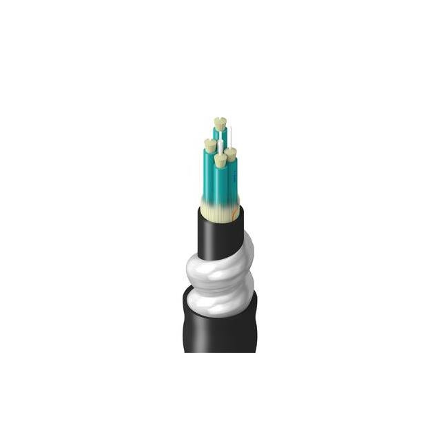 TF-3BB-004-RI5N
