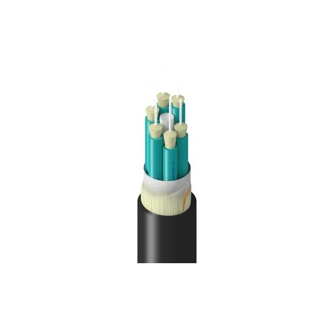 TM-3BB-006-LNAN