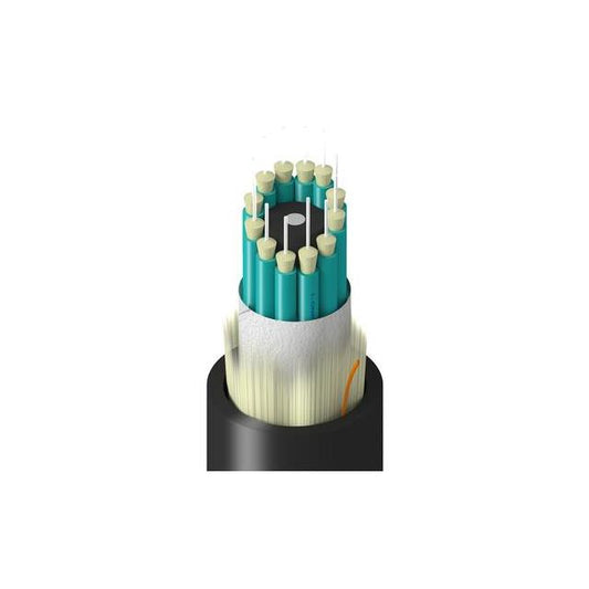 TM-3BB-012-LNAN
