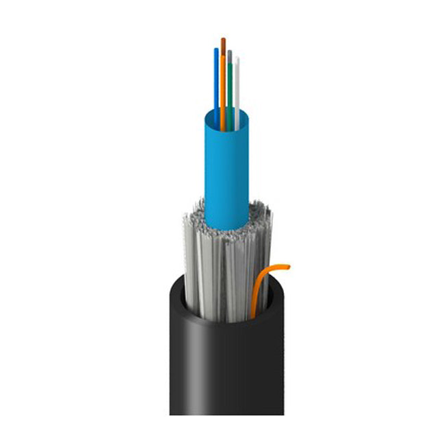 TT-SCN-006-LRNN