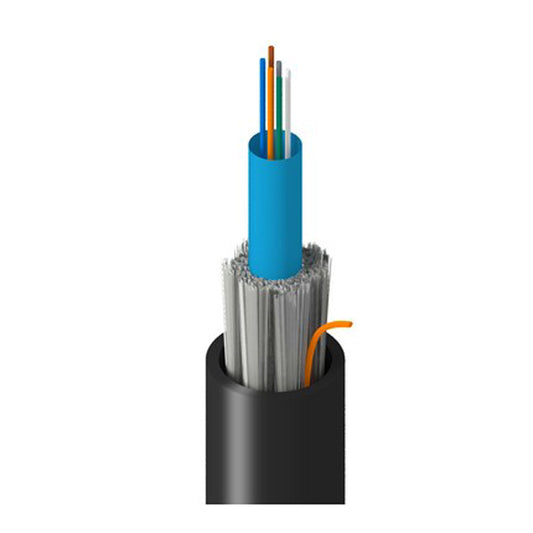 TT-SCN-006-LRNN