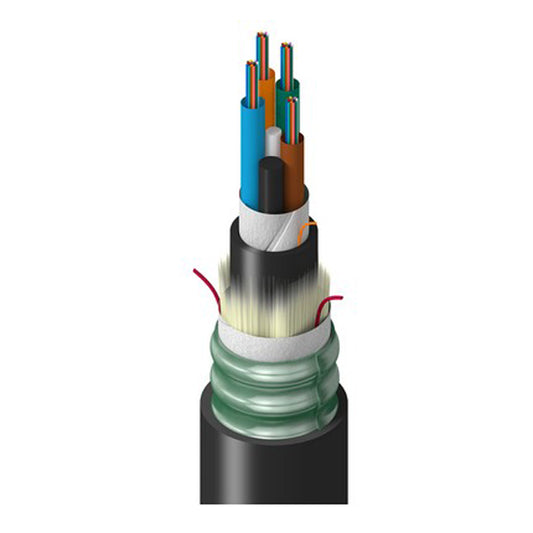 TR-SLD-048-NTUN